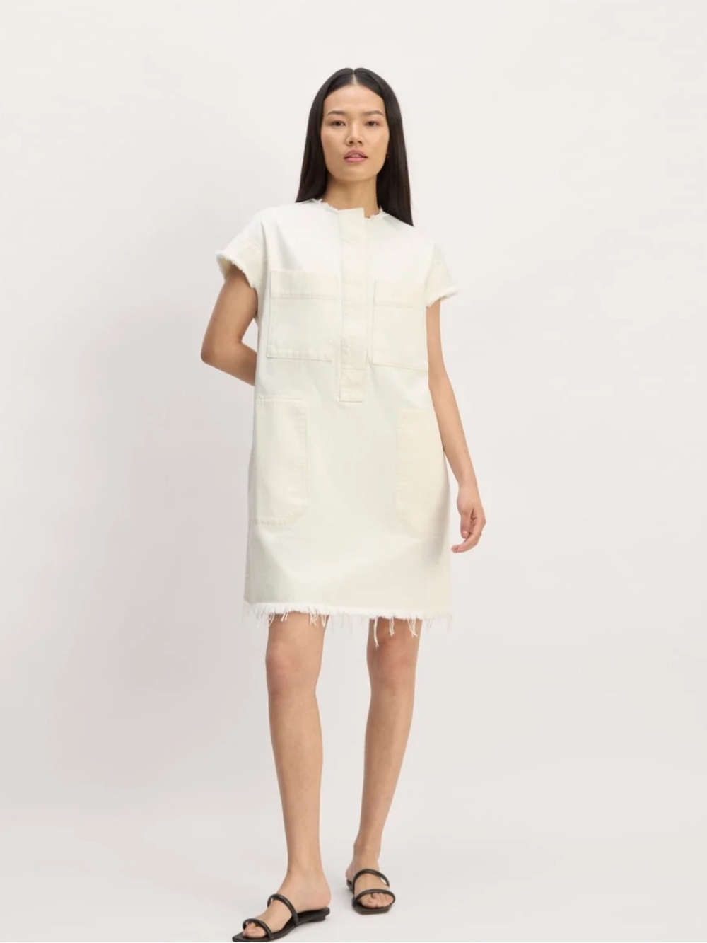 Everlane THE DENIM WORKWEAR SHIRTDRESS